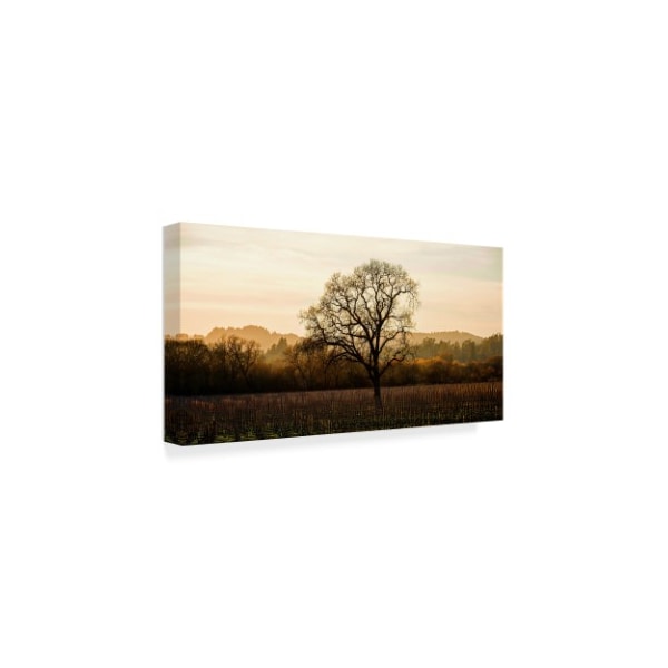 Lance Kuehne 'Wine Country Winter' Canvas Art,12x24